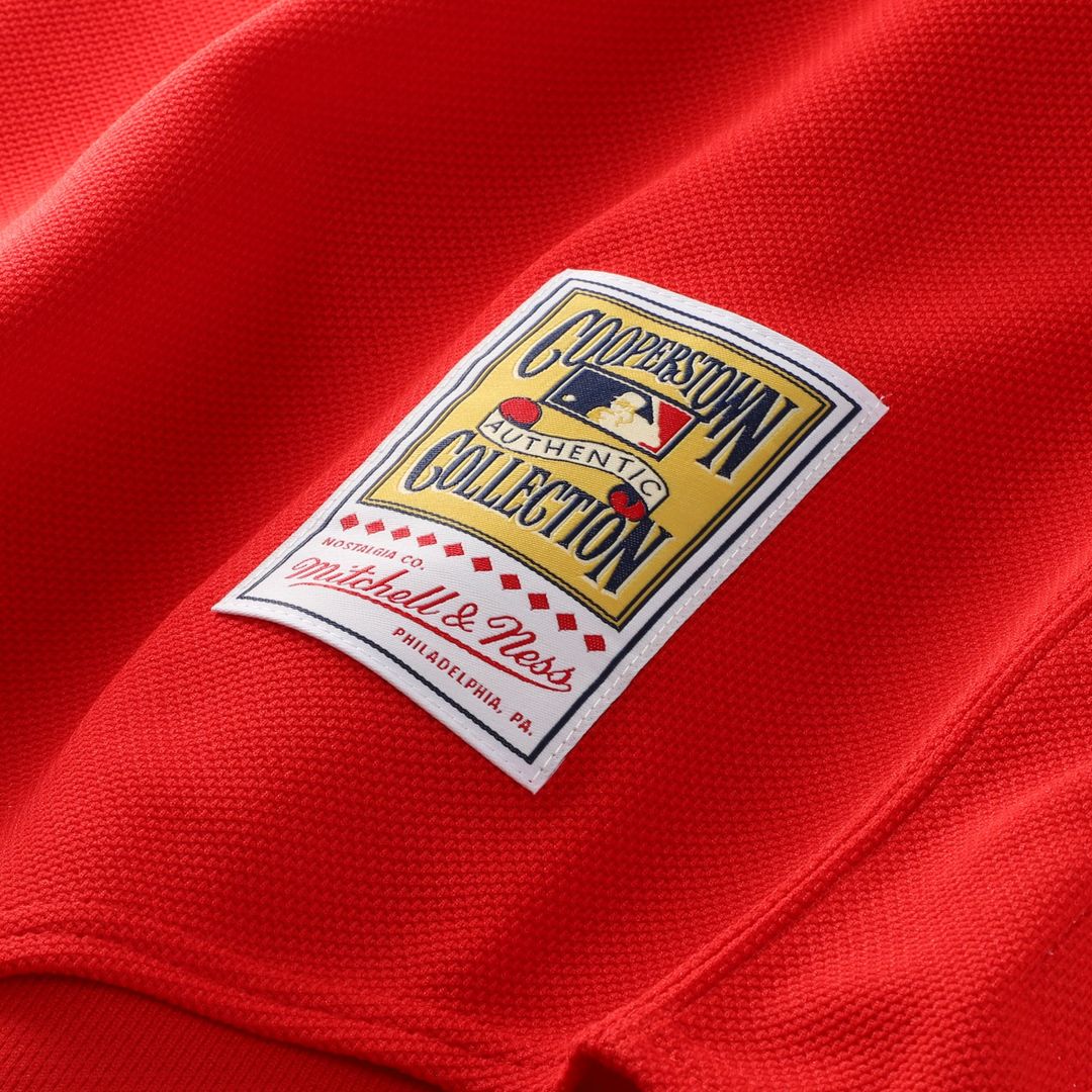 California Angels Vladimir Guerrero | Mitchell & Ness Red Authentic Batting Practice Jersey