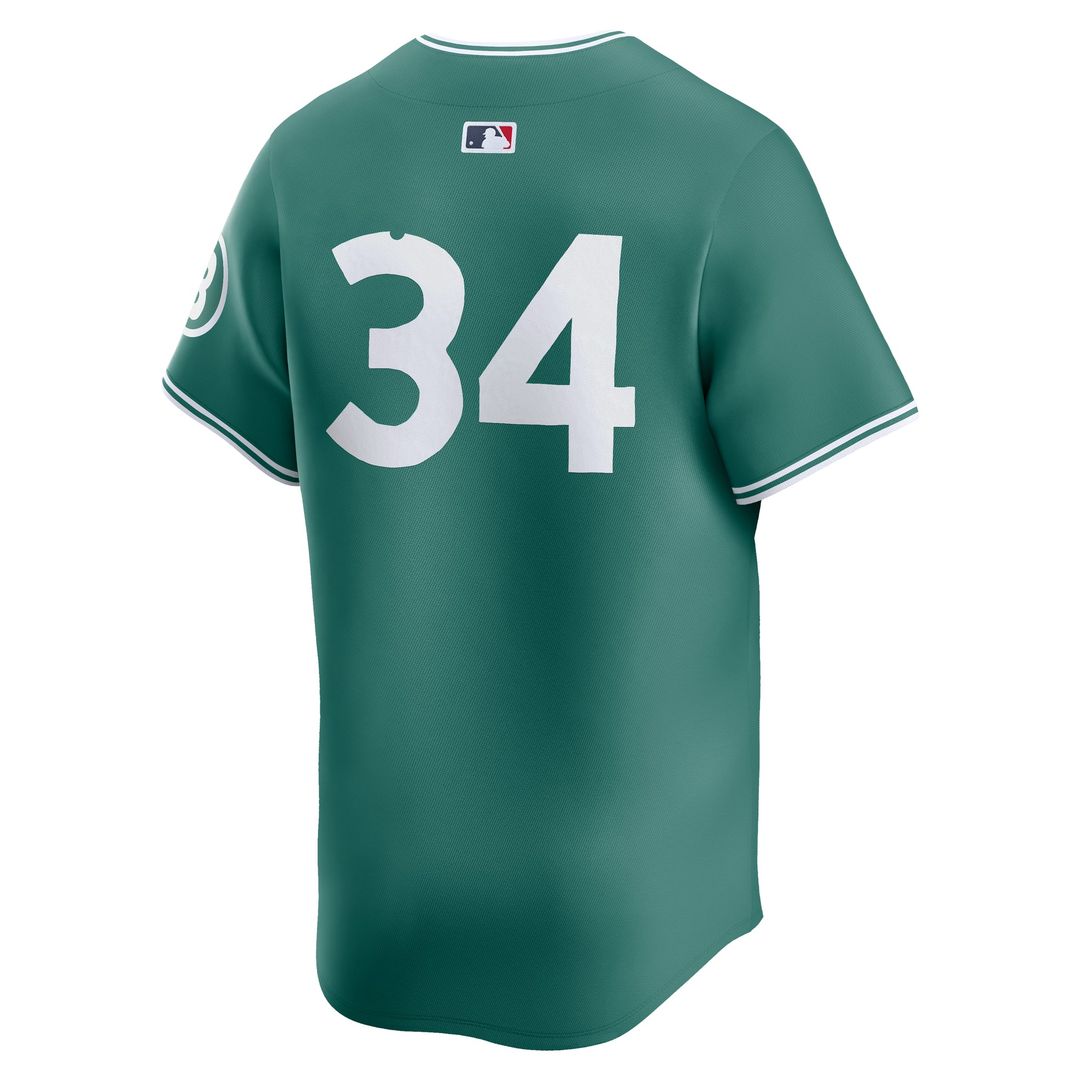 Boston Red Sox David Ortiz | Nike Green 2025 City Connect Limited Retired Player Jersey
