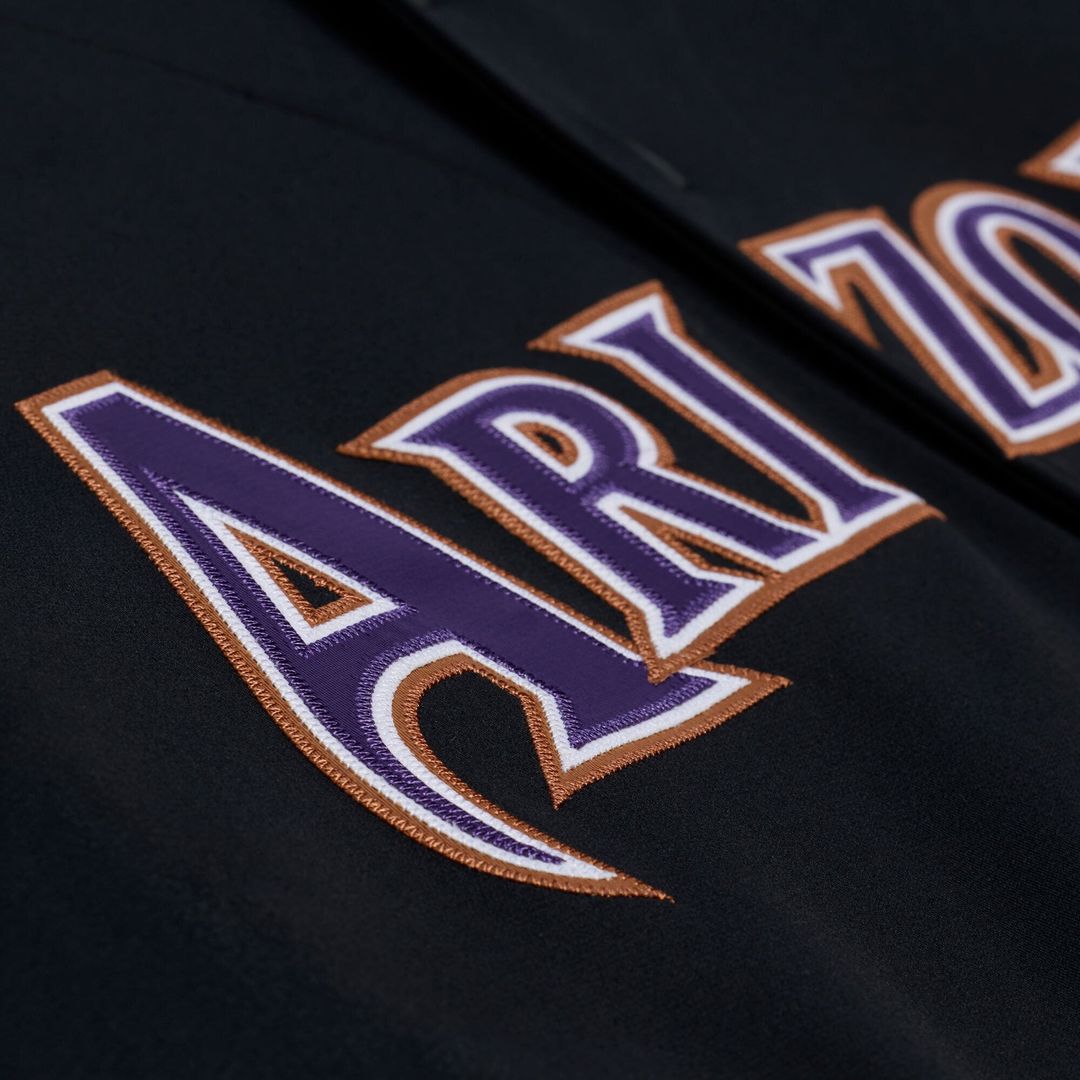 Arizona Diamondbacks Randy Johnson | Mitchell & Ness Black 2001 Authentic Jersey