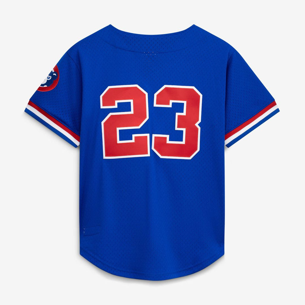 Chicago Cubs Ryne Sandberg | Mitchell & Ness Royal Cooperstown Collection 1996 Mesh Batting Practice Button-Up Jersey