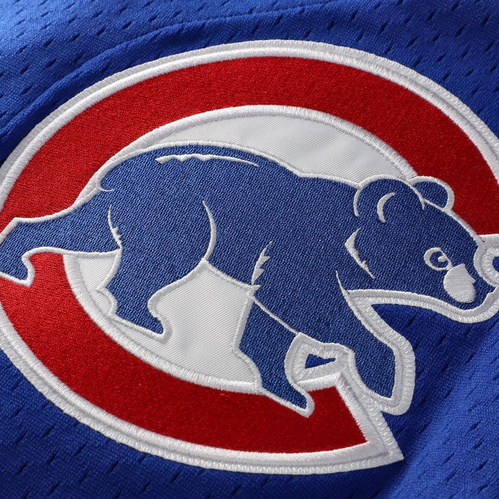 Chicago Cubs Ryne Sandberg | Mitchell & Ness Royal Cooperstown Collection 1997 Mesh Batting Practice Button-Up Jersey