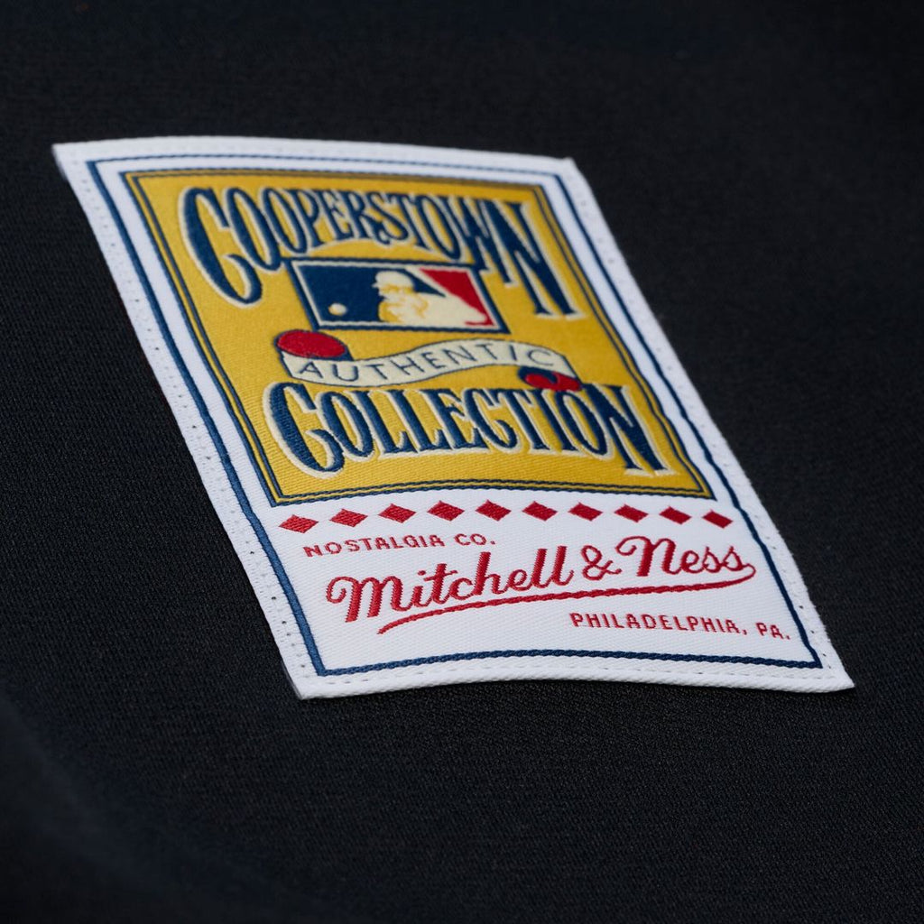 Arizona Diamondbacks Randy Johnson | Mitchell & Ness Black 2001 Authentic Jersey