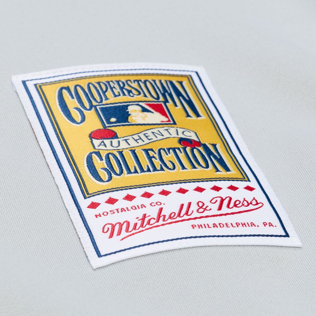 New York Mets Tom Seaver | Mitchell & Ness Gray 1976 Authentic Jersey