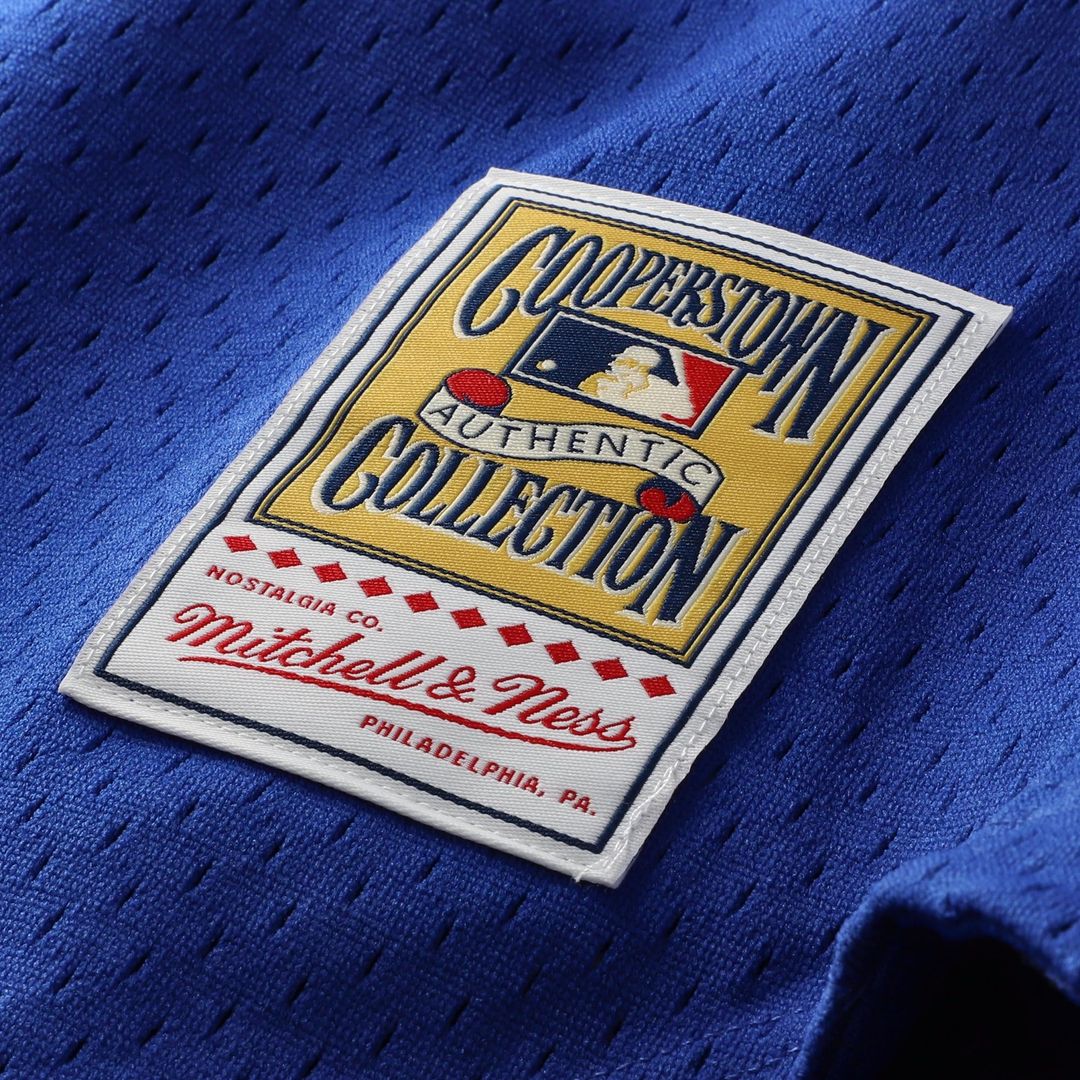Chicago Cubs Ryne Sandberg | Mitchell & Ness Royal Cooperstown Collection 1997 Mesh Batting Practice Button-Up Jersey