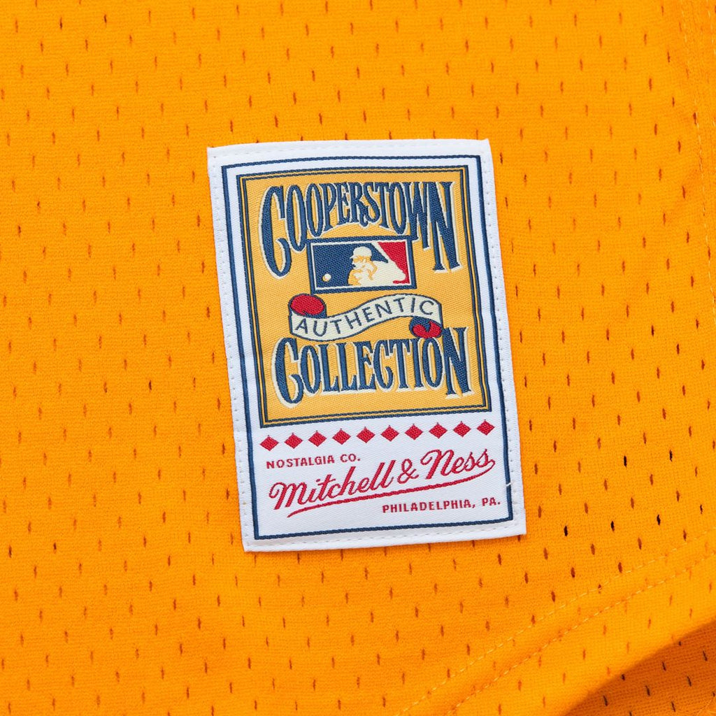 San Diego Padres Tony Gwynn | Mitchell & Ness Gold Big & Tall Cooperstown Mesh Batting Practice Jersey