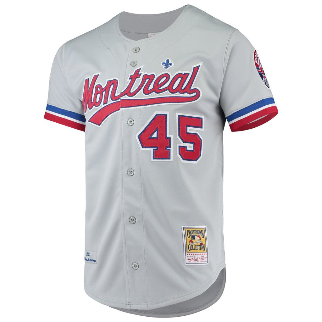 Montreal Expos Pedro Martinez | Mitchell & Ness Gray Cooperstown Collection Authentic Jersey