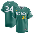 Boston Red Sox David Ortiz | Nike Green 2025 City Connect Limited Retired Player Jersey