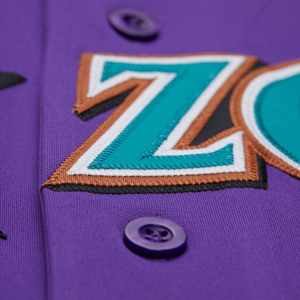 Arizona Diamondbacks Randy Johnson | Mitchell & Ness Black 2001 Authentic Jersey