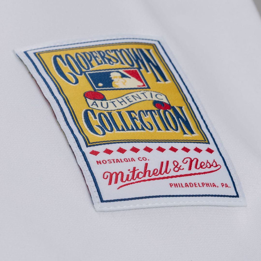 Atlanta Braves Andruw Jones | Mitchell & Ness White 2005 Authentic Jersey