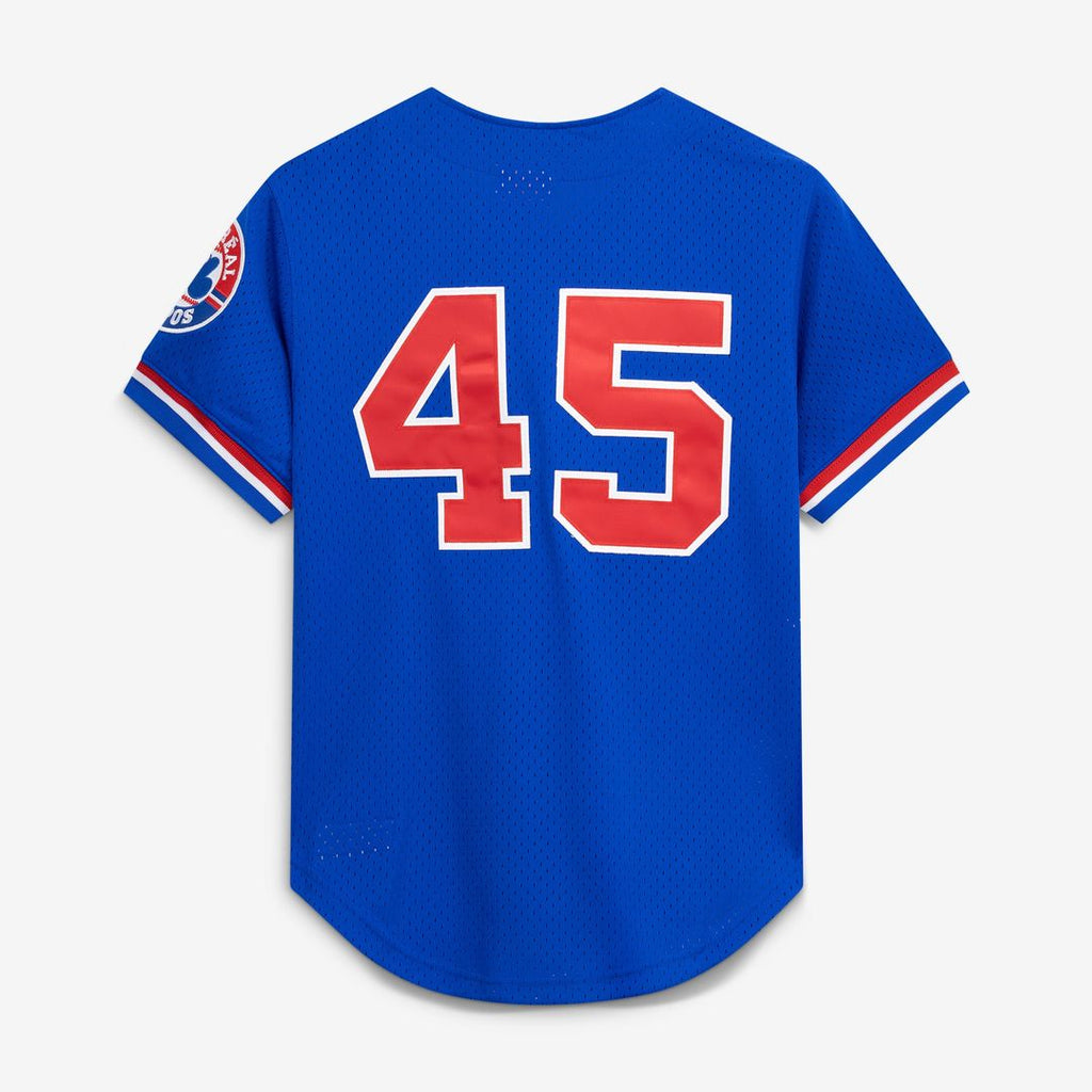 Montreal Expos Pedro Martinez | Mitchell & Ness Blue Cooperstown Collection Mesh Batting Practice Button-Up Jersey