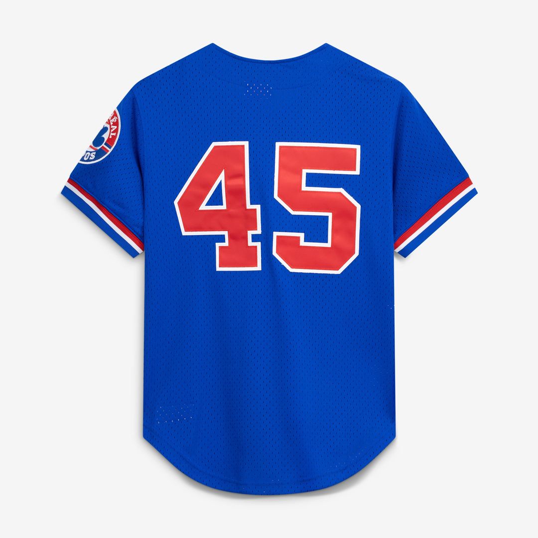 Montreal Expos Pedro Martinez | Mitchell & Ness Blue Cooperstown Collection Mesh Batting Practice Button-Up Jersey