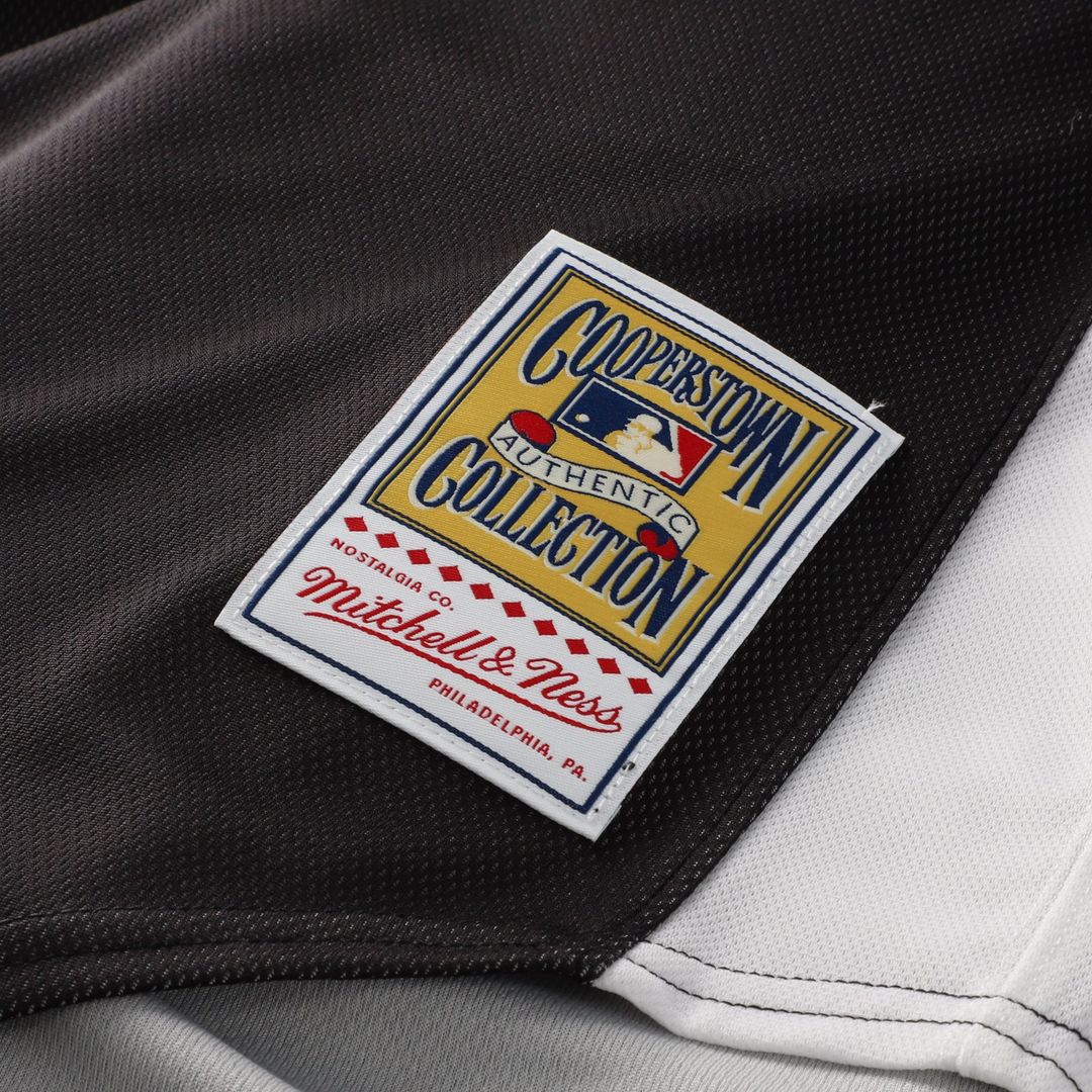 Florida Marlins Dontrelle Willis | Mitchell & Ness Black Authentic Batting Practice Jersey