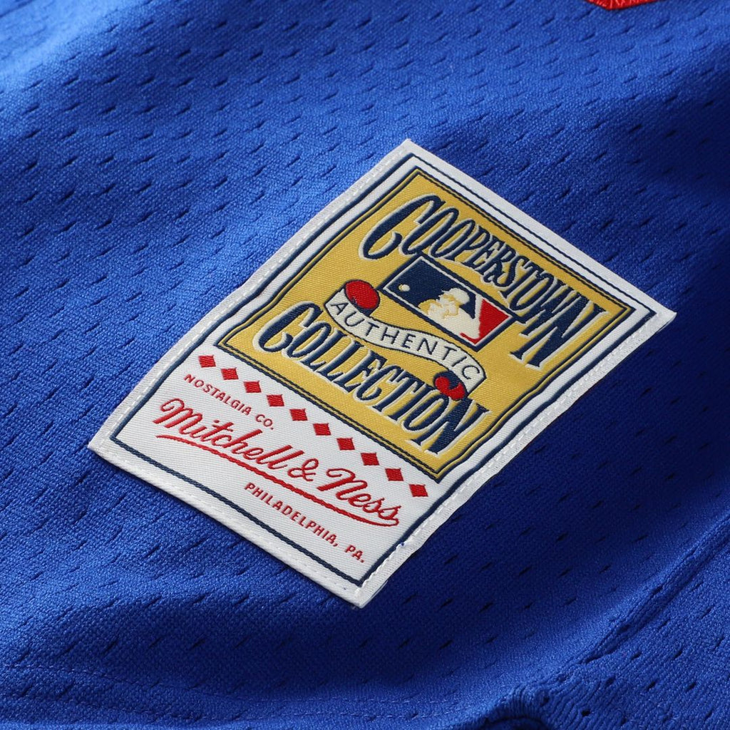 Los Angeles Dodgers Hideo Nomo | Mitchell & Ness Royal Big & Tall Cooperstown Collection Mesh Batting Practice Jersey